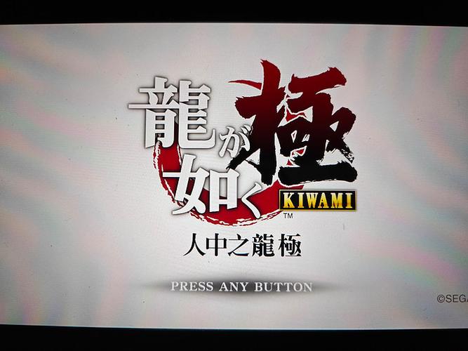 如龙极1汉化补丁缩略图