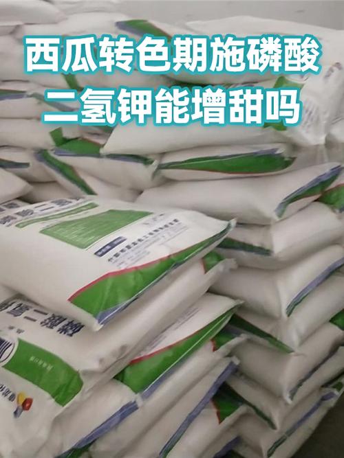 西瓜转靠谱吗图标