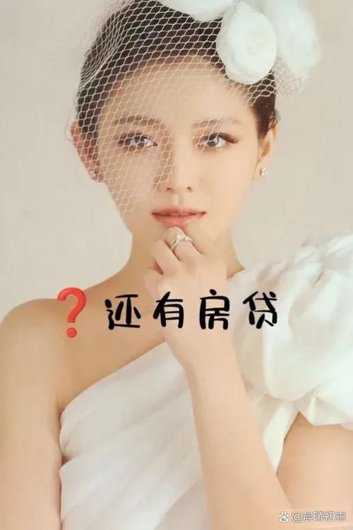 明星贷款
