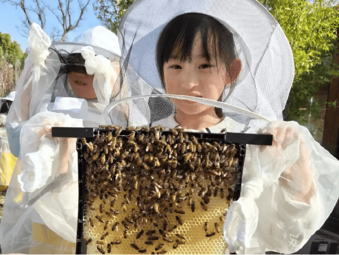 蜂蜂帮玩