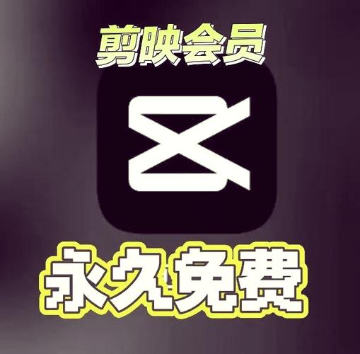剪映在哪里开会员截图