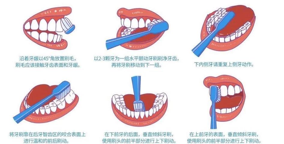巴氏刷牙法完整视频