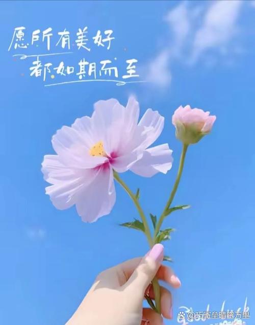充满正能量阳光的文案图标