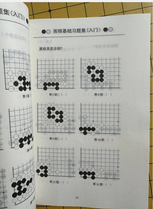 围棋入门必练100题