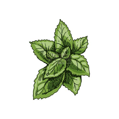 奶奶遗产2(绿色菜单)截图