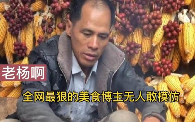 云南老杨吃播全集
