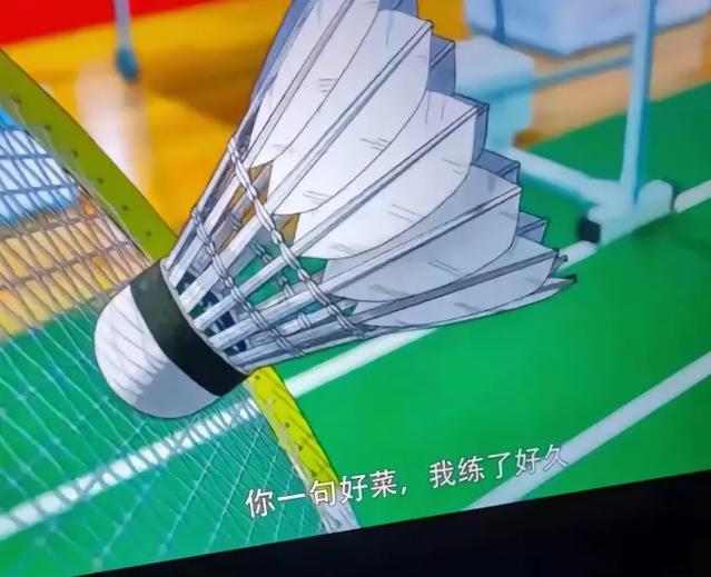 Lm哪里打轻羽毛方便
