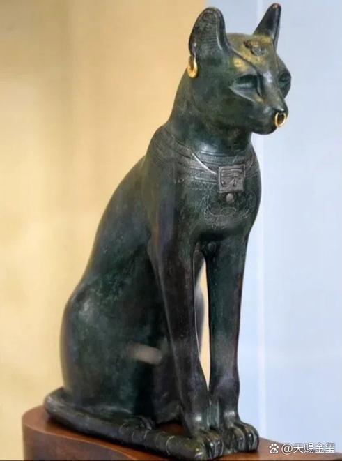 猫古埃及游戏截图