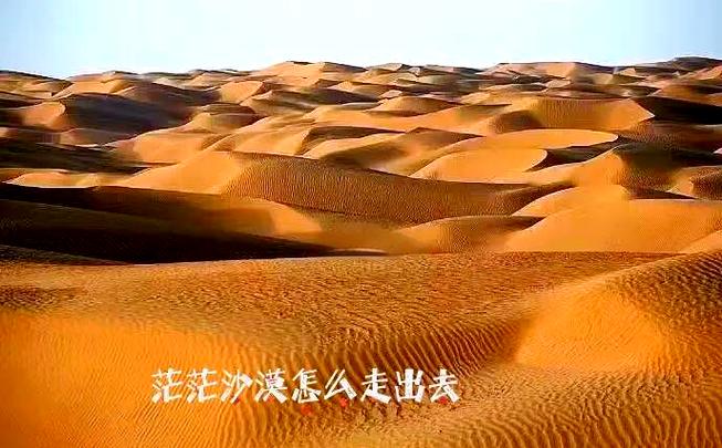 穿越沙漠的人生感悟