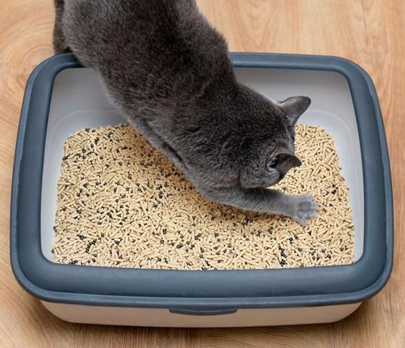 附近卖猫砂的地方缩略图