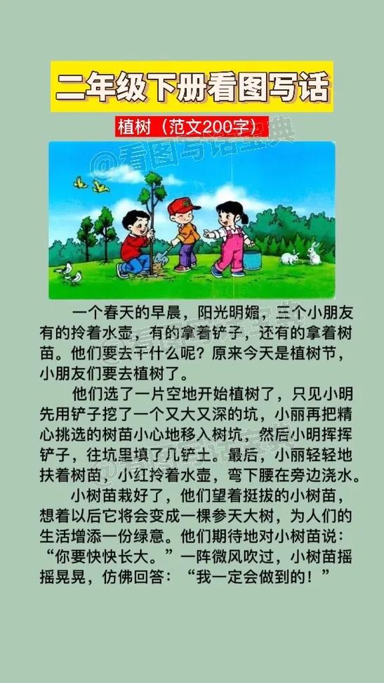 植树节看图写话