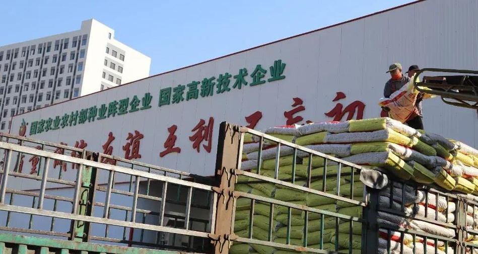山东最大的种子公司