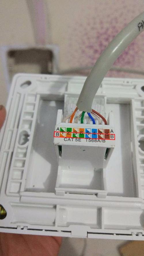 网线插座的接线方法