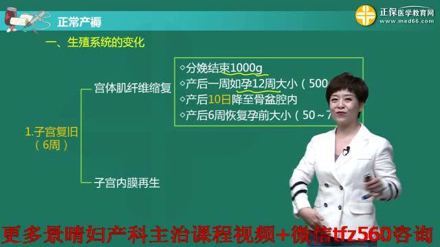 妇产科视频课程