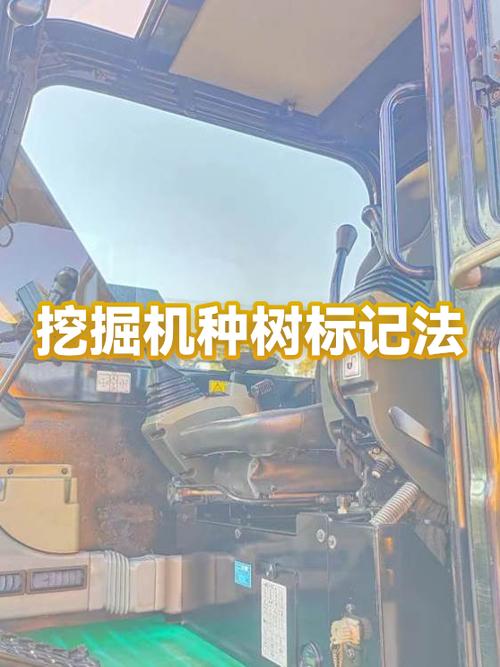 种树口诀 一提 二