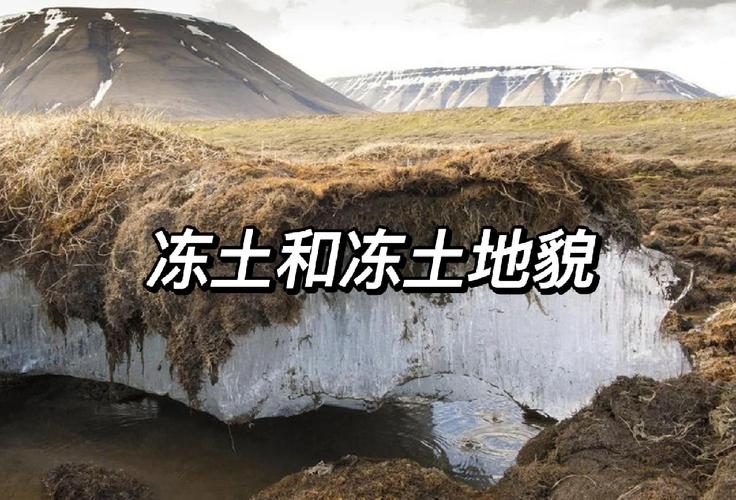 种族变更冷却