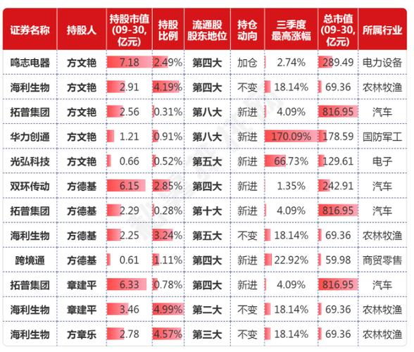 怎么查个人持股信息