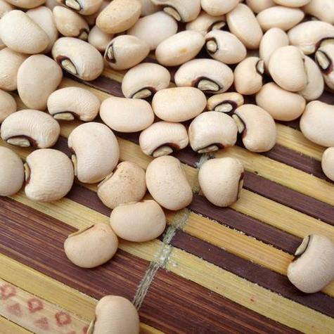 很大的白色豆子是什么豆子