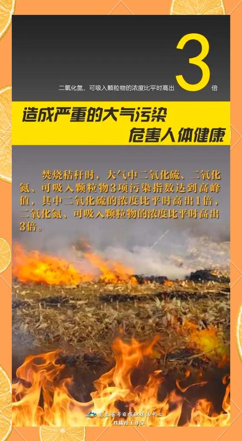 烧秸秆最经典十句话