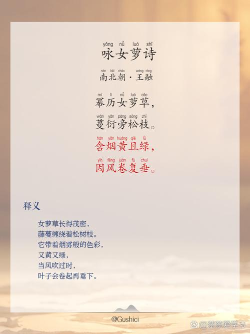 《玉萝娇》一蓑烟雨图标