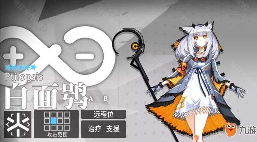 白面鸮是什么猫头鹰