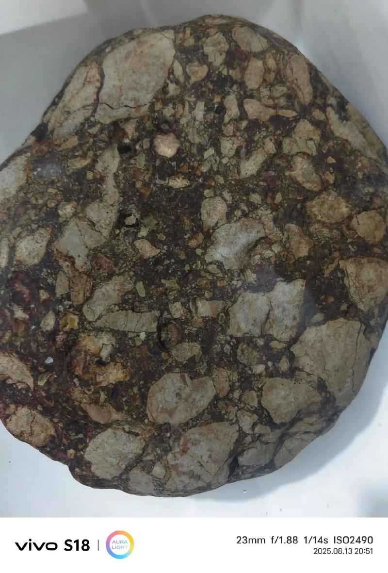 灶神星陨石特征和颜色