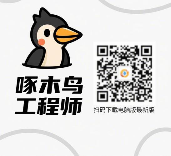 啄木鸟工程师版下载截图