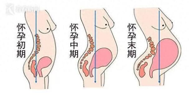怀孕后