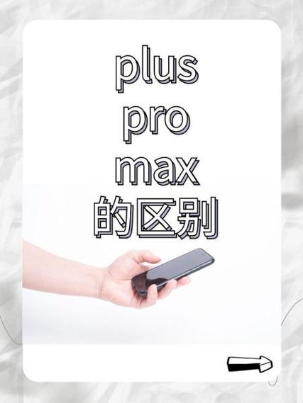 plus借款是什么意思截图