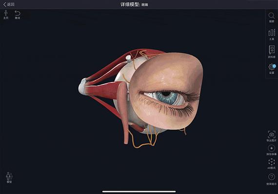 complete anatomy安卓