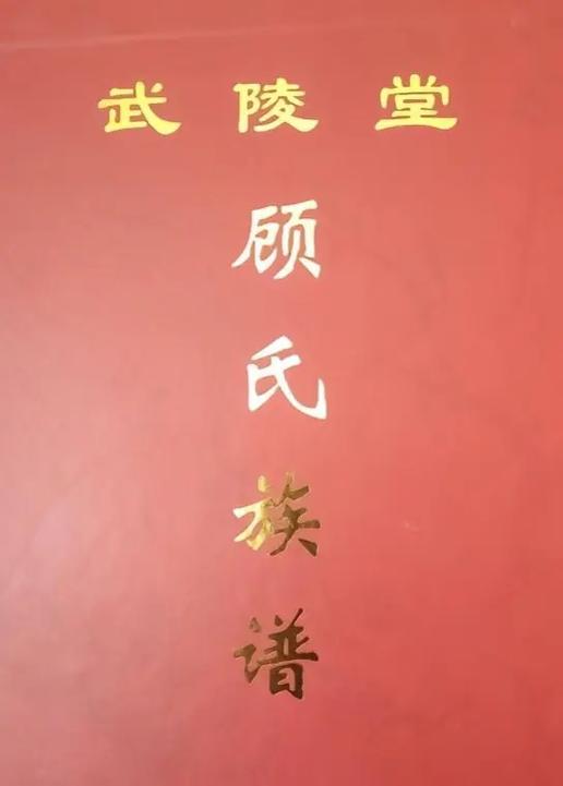男主叫萧衍女主姓顾的小说缩略图