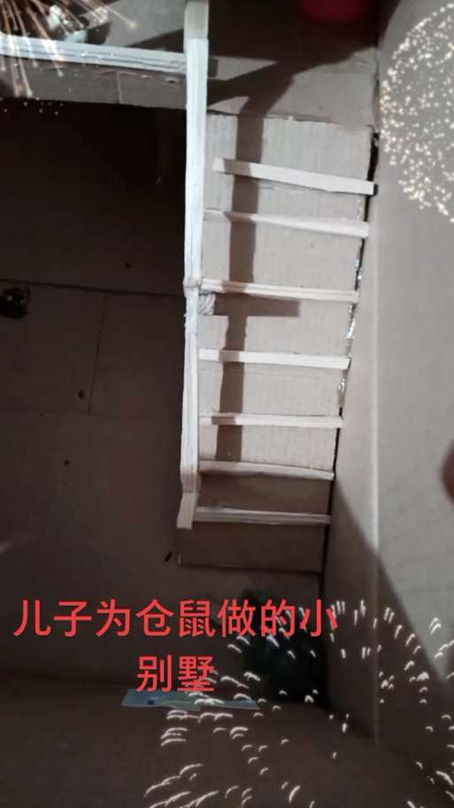 用纸箱给仓鼠做窝