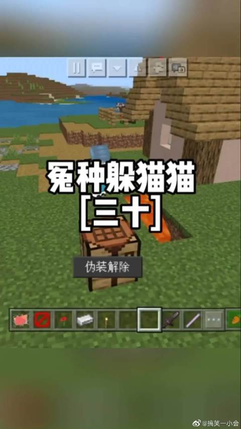 《冤种日记》之躲猫猫