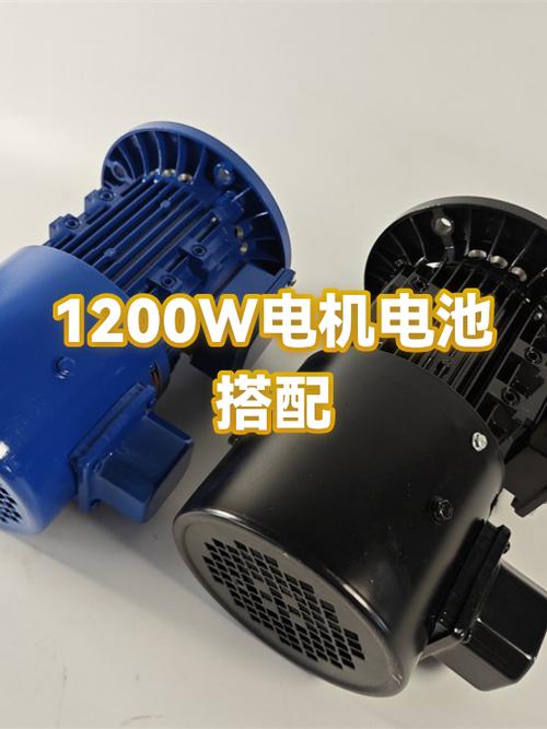1200w电机配什么电池截图