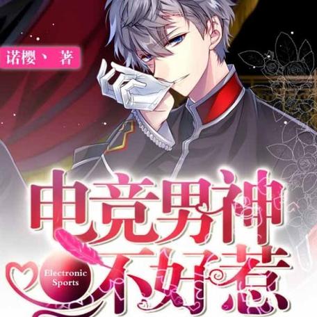 电竞男神不好惹
