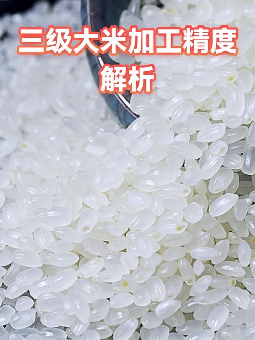 三级大米能吃吗
