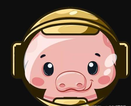 pig币猪币