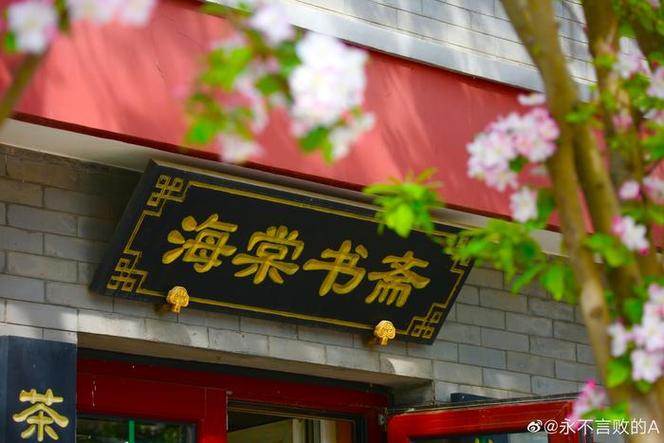 海棠书城怎么进