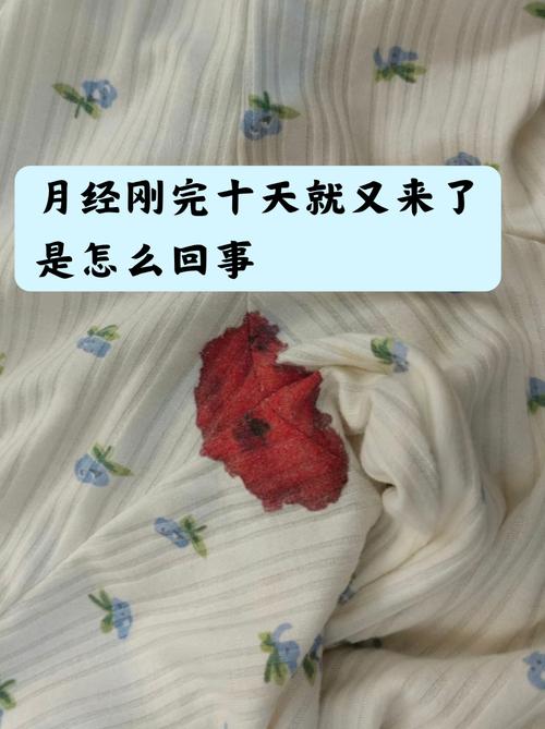 大姨妈前几天很少,后来又多了起来图标