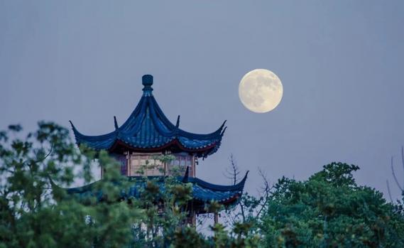 月圆之夜怎么存档