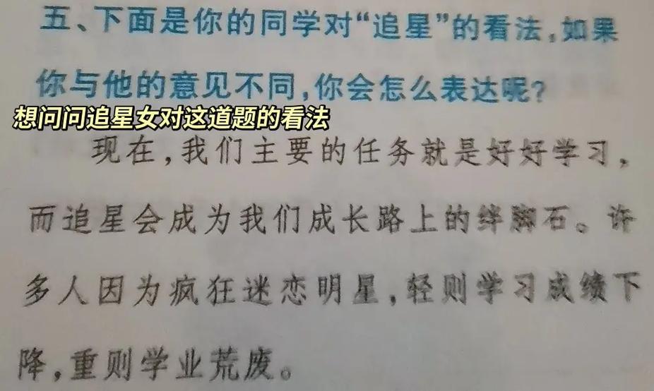 追星女的爱无解截图