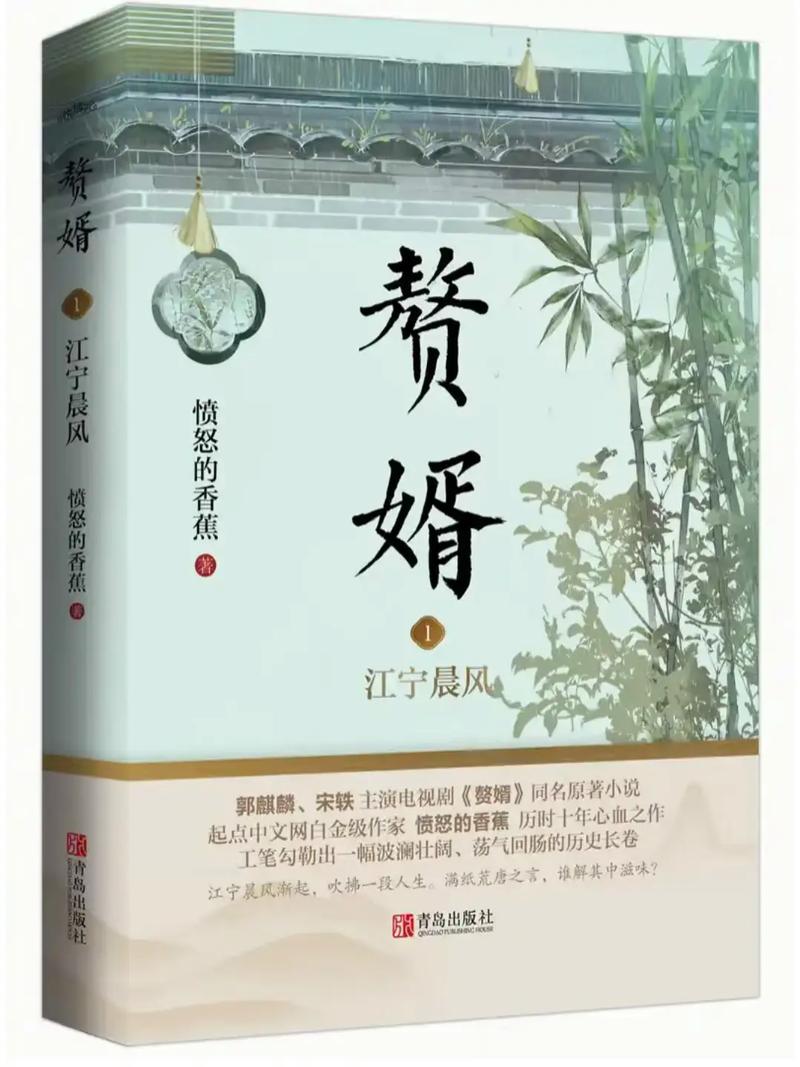 最佳赘婿小说更新太慢