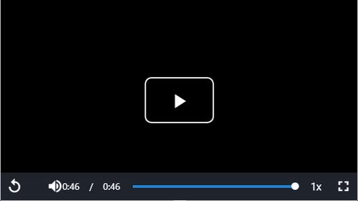 vue video player缩略图