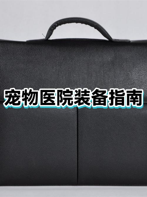 宠物装备和礼包宠物装备的区别