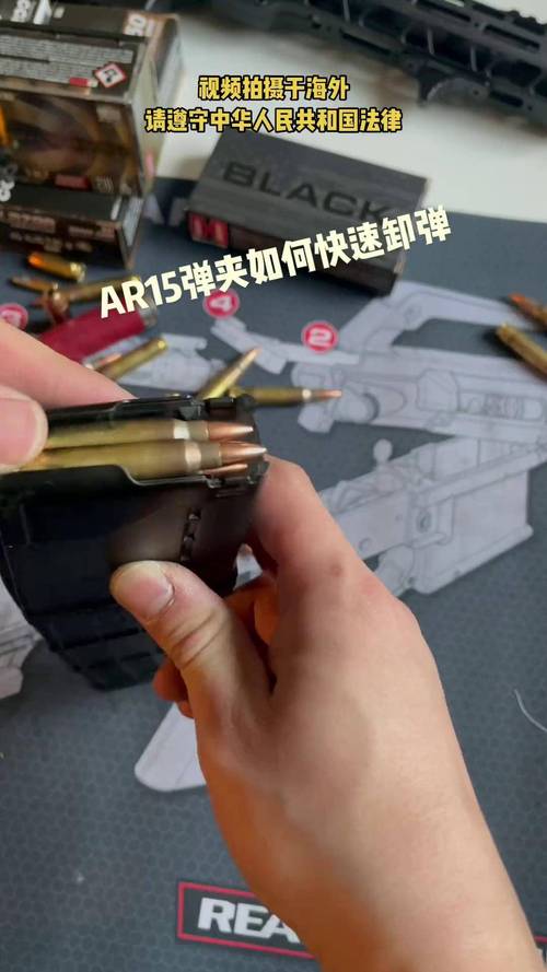 生化弹夹加多少子弹截图