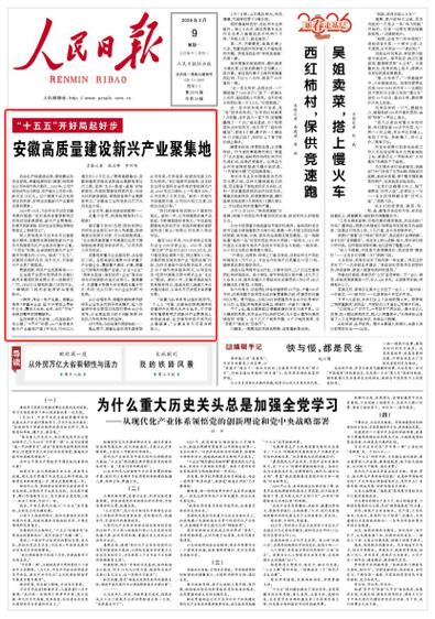 铜陵新闻网图标