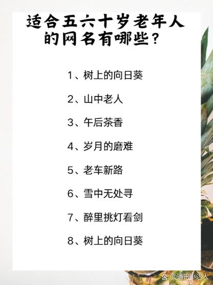 60岁老头最火昵称