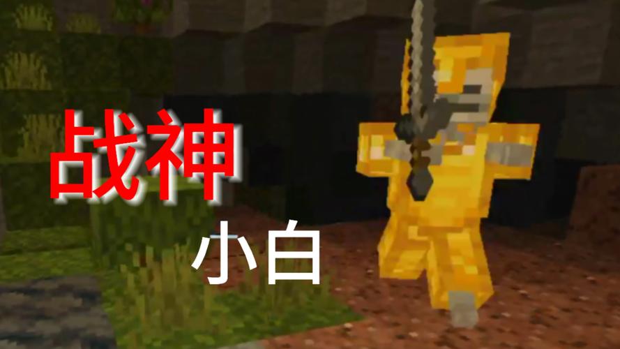 我的世界主播小白照片