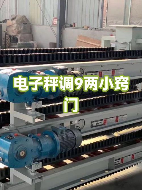 电子秤可以调成九两吗截图