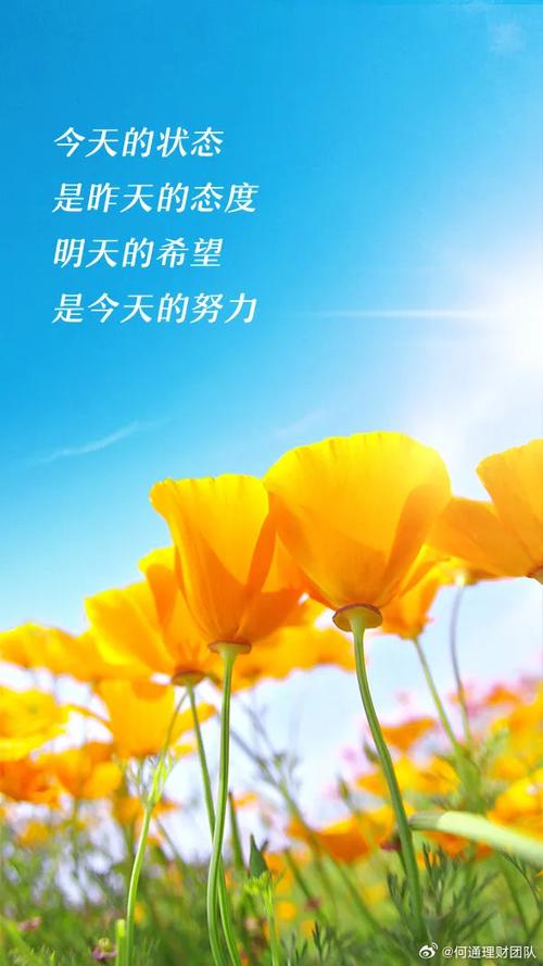 今天心情的励志句子